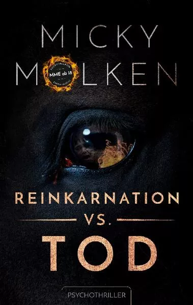 Cover: Reinkarnation vs. Tod