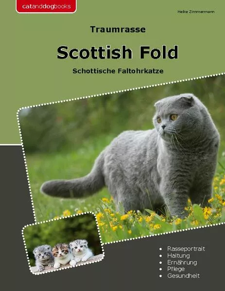 Cover: Traumrasse Scottish Fold