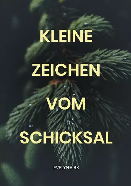 Cover: Kleine Zeichen vom Schicksal