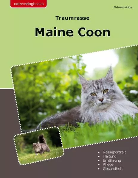 Cover: Traumrasse Maine Coon