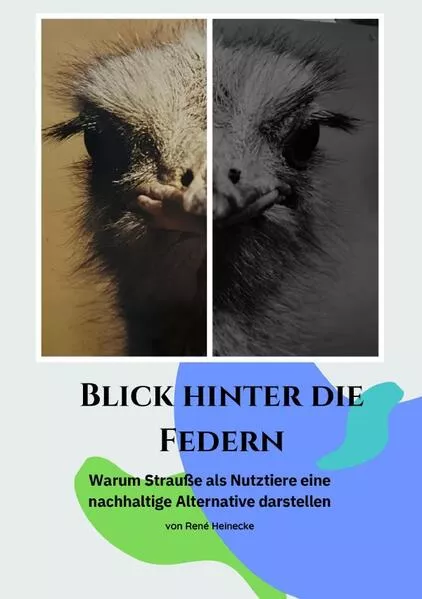 Cover: Blick hinter die Federn