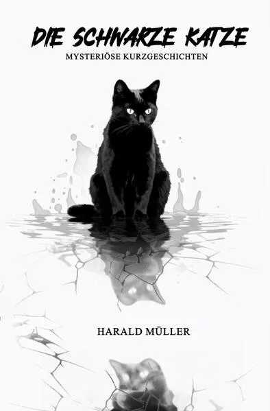 Cover: Die schwarze Katze - Mysteriöse Kurzgeschichten