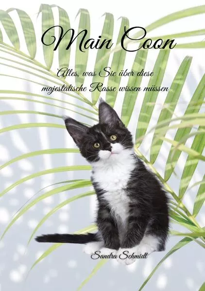 Cover: Die Main Coon Katze