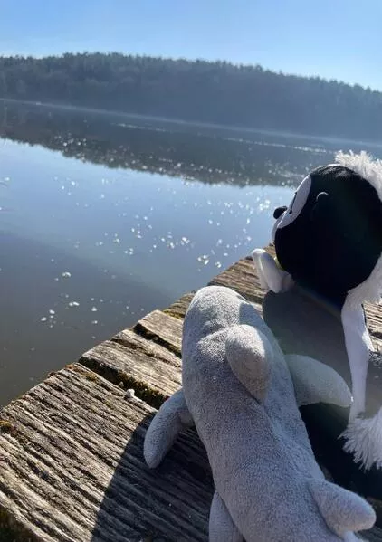 Notizbuch Blume und Sharky