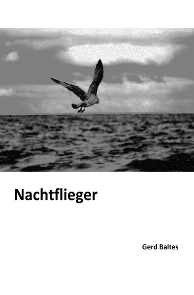 Cover: Nachtflieger