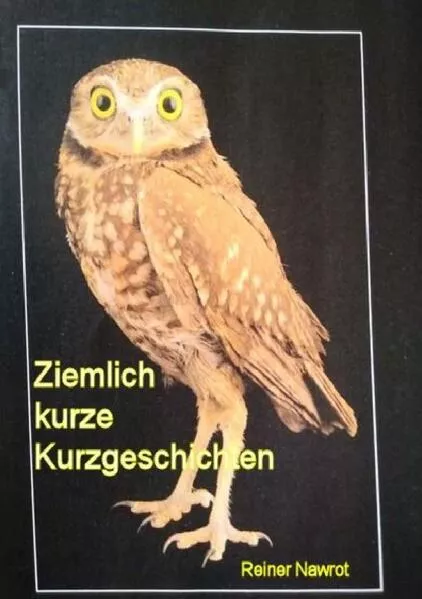 Cover: Ziemlich kurze Kurzgeschichten