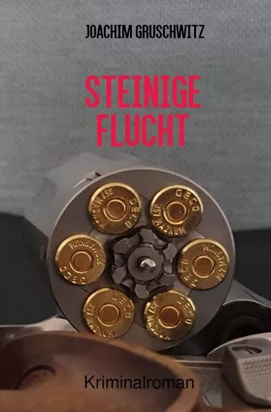 Cover: Steinige Flucht