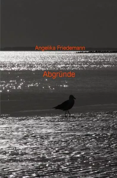 Cover: Abgründe