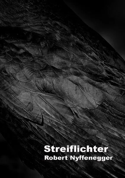 Cover: Streiflichter