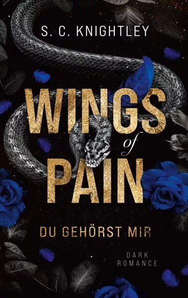Cover: Wings of Pain