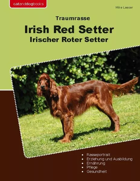 Cover: Traumrasse Irish Red Setter