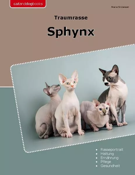 Cover: Traumrasse Sphynx