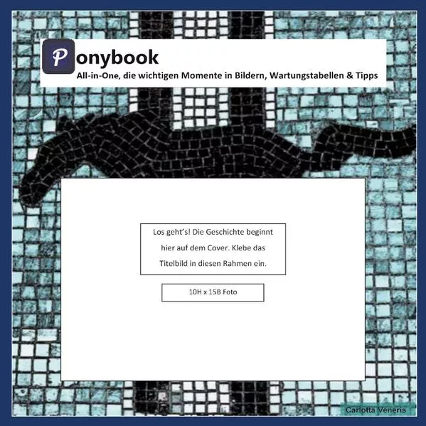 Cover: Ponybook