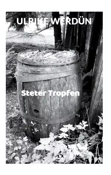 Cover: Steter Tropfen