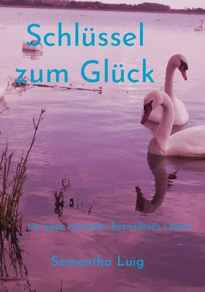 Cover: Schlüssel zum Glück