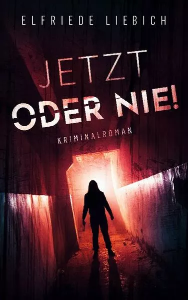Cover: Jetzt oder nie!