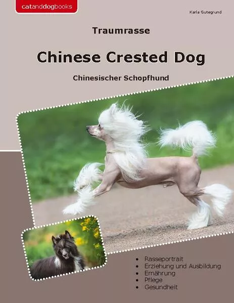 Cover: Traumrasse Chinese Crested Dog