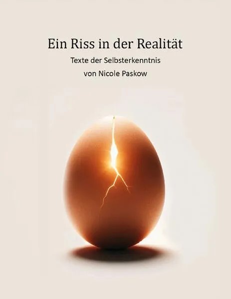 Cover: Ein Riss in der Realität