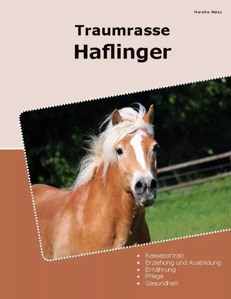 Cover: Traumrasse Haflinger