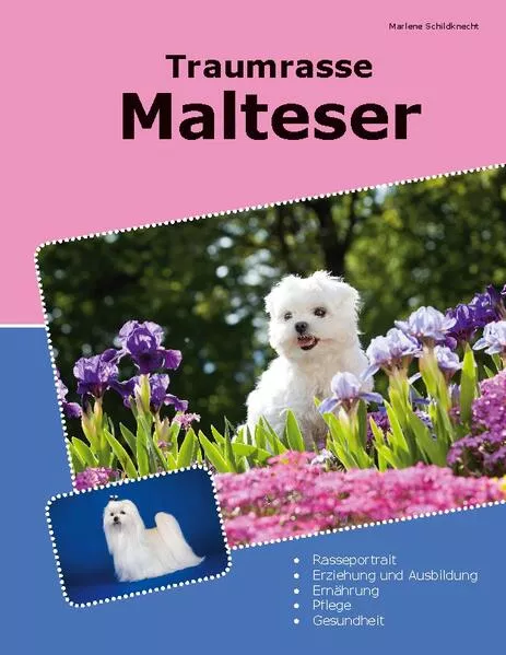 Cover: Traumrasse Malteser