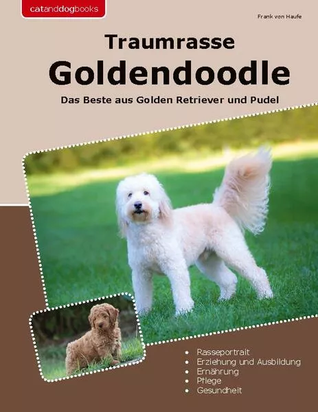 Cover: Traumrasse Goldendoodle