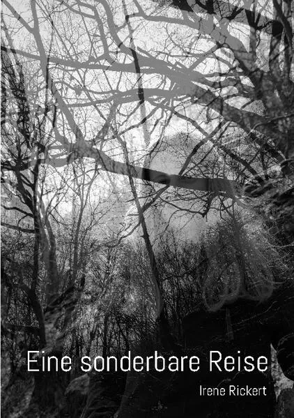 Cover: Eine sonderbare Reise