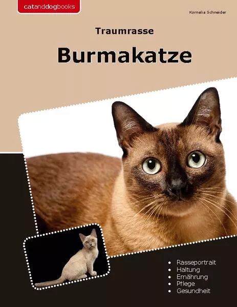 Cover: Traumrasse Burmakatze