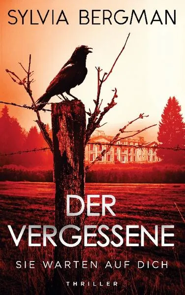 Cover: Der Vergessene