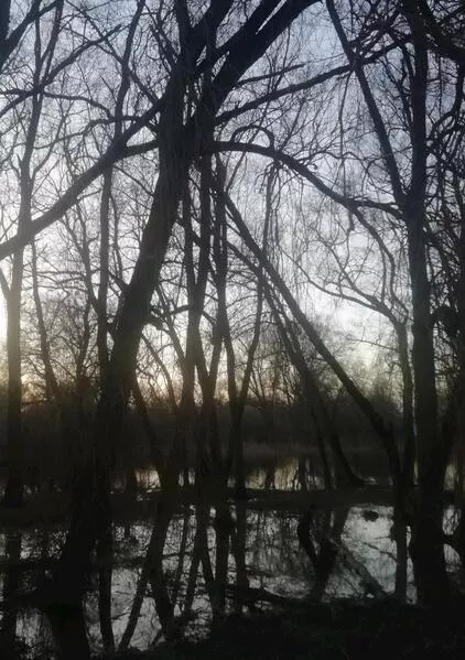 Cover: Wie frei ist frei?