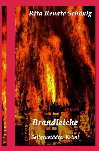 Cover: Seligenstädter Krimi / Brandleiche