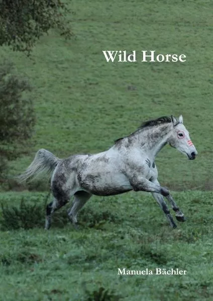 Cover: Wild Horse