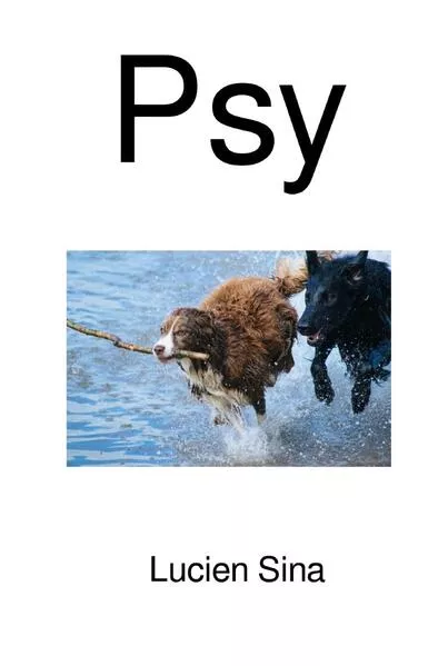 Psy</a>