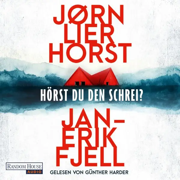 Cover: Hörst du den Schrei?