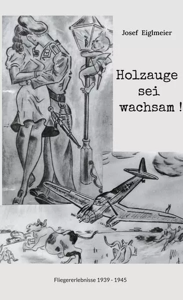 Cover: Holzauge sei wachsam !