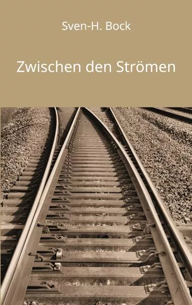 Cover: Zwischen den Strömen