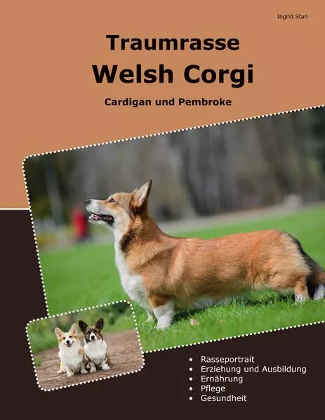 Cover: Traumrasse Welsh Corgi