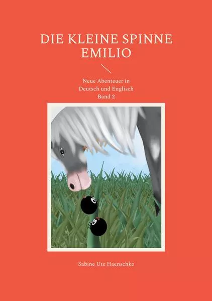 Cover: Die kleine Spinne Emilio