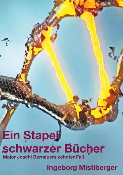 Cover: Ein Stapel schwarzer Bücher