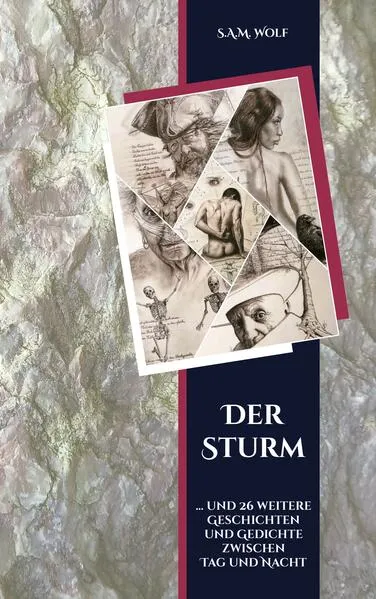 Cover: Der Sturm