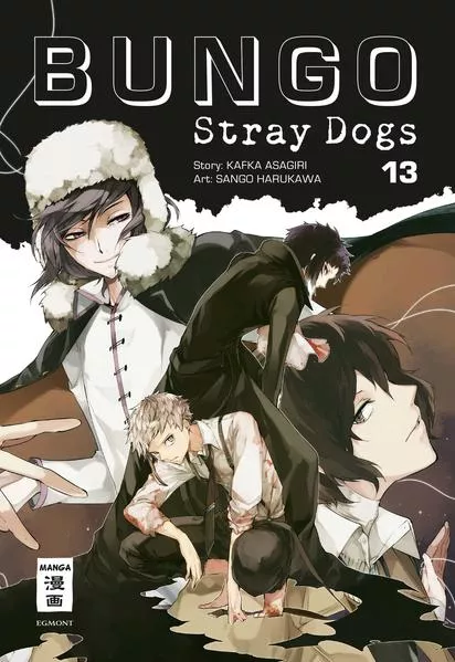 Cover: Bungo Stray Dogs 13