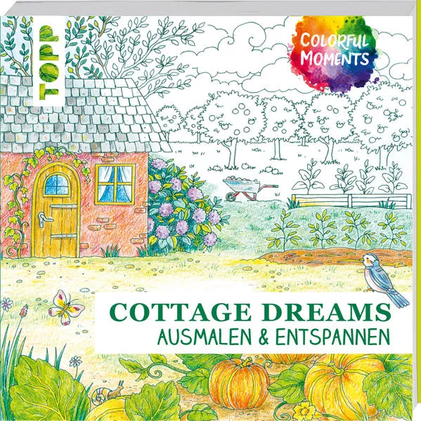 Cover: Colorful Moments - Cottage Dreams
