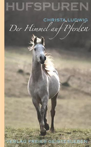 Cover: Der Himmel auf Pferden