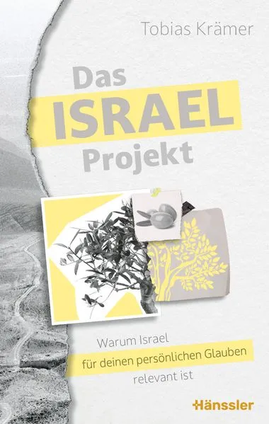 Cover: Das Israel-Projekt