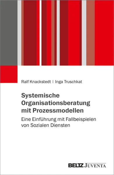 Cover: Systemische Organisationsberatung mit Prozessmodellen