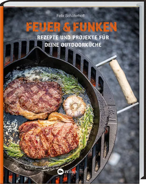 Cover: Feuer und Funken