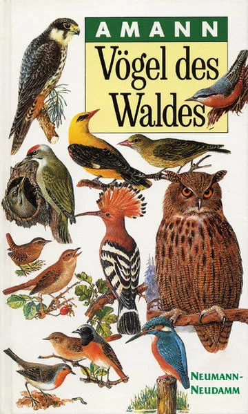 Cover: Vögel des Waldes