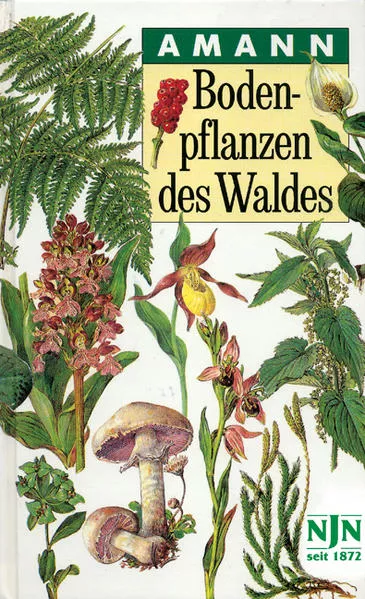 Cover: Bodenpflanzen des Waldes