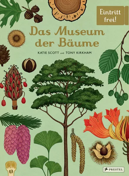 Cover: Das Museum der Bäume