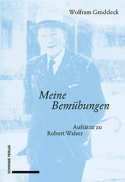 Cover: «Meine Bemühungen»