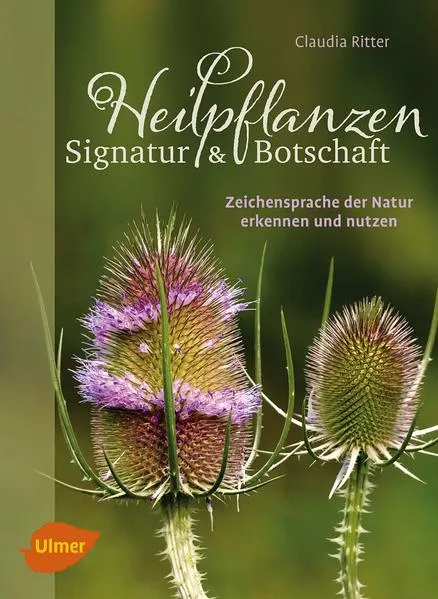 Cover: Heilpflanzen. Signatur und Botschaft